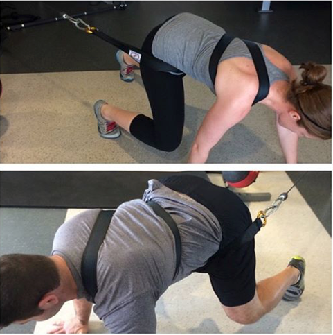 PHYSICAL INDUSTRIES STRAP - Original Black